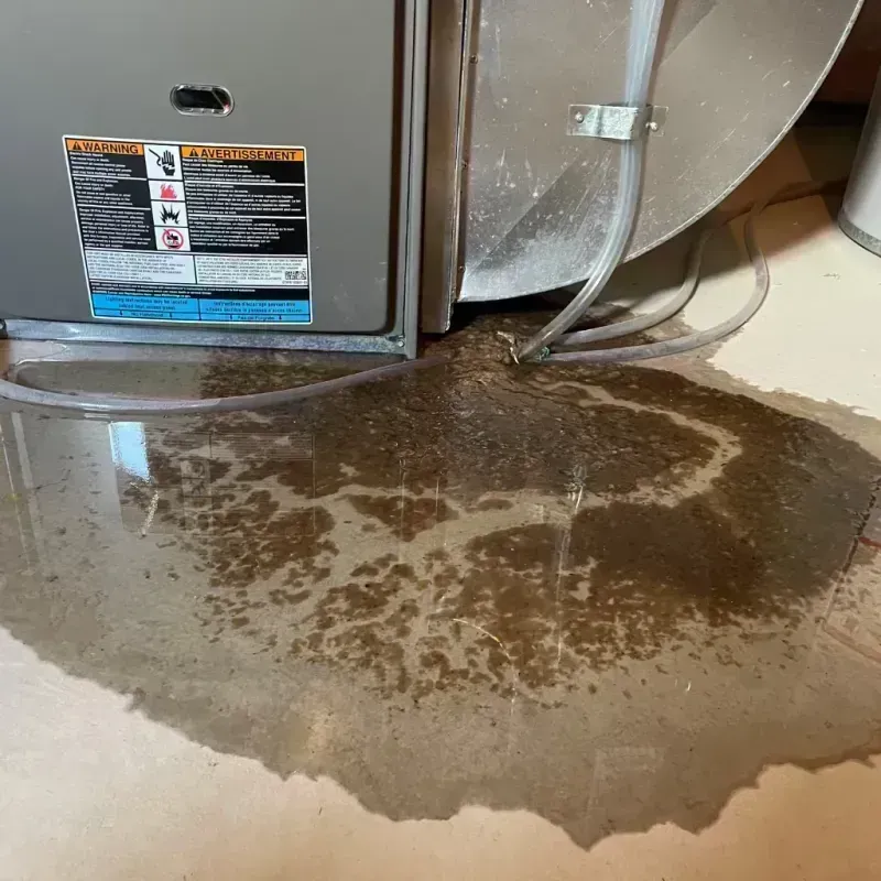 Appliance Leak Cleanup in Versailles, KY